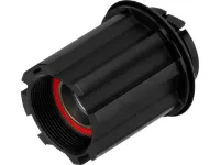 DT Swiss Umrüstkit Road Shimano auf Campagnolo 12-fach Pawl Drive System® DT Swiss Umrüstkit Road Shimano auf Campagnolo 12-fach Pawl Drive System®