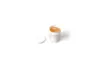 DT Swiss Universal Grease
