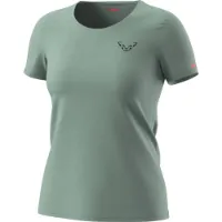 Dynafit 24/7 Graphic T-shirt Med Korta ärmar