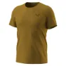 Dynafit 24/7 Graphic T-shirt Med Korta ärmar