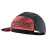 Dynafit Alpine Graphic Keps