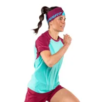 Dynafit Alpine Pro T-shirt Med Korta ärmar Dynafit Alpine Pro T-shirt Med Korta ärmar