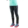 Dynafit Alpine Warm Leggings
