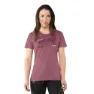 Dynafit Graphic T-shirt Med Korta ärmar