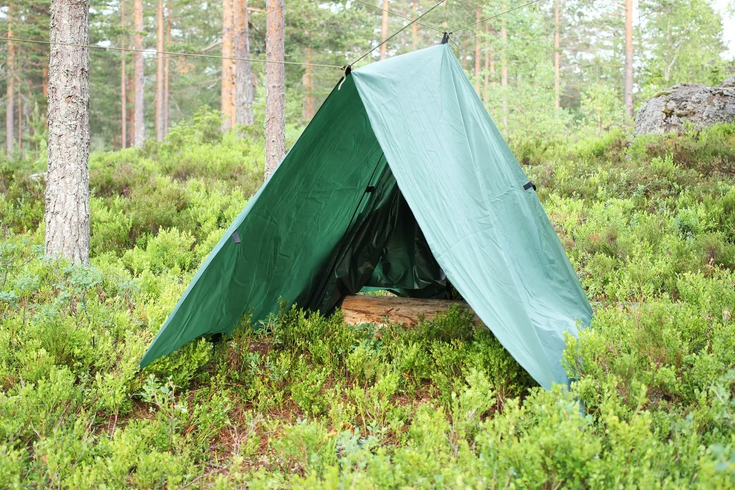 Eagle Products Eagle Tarp