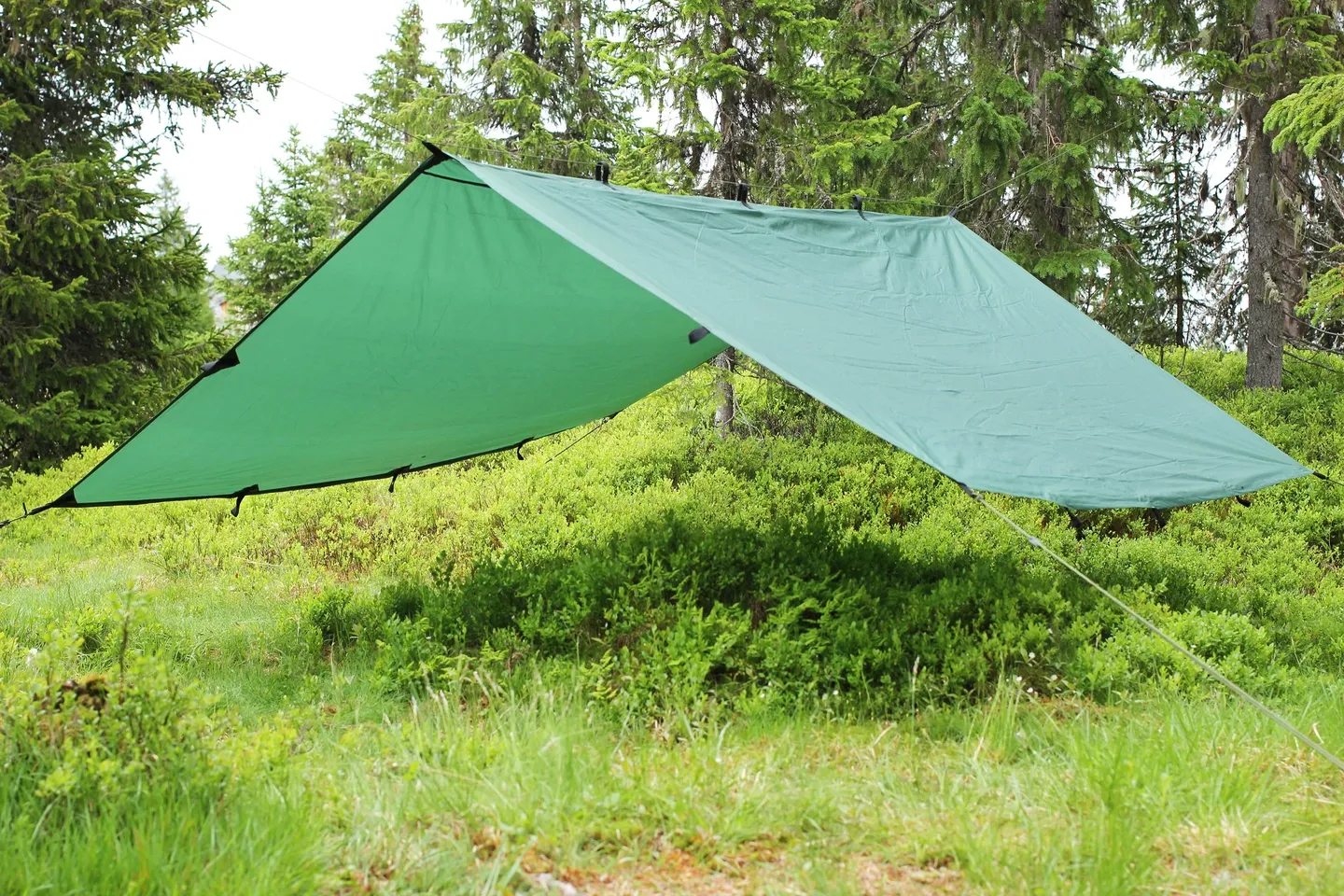 Eagle Products Eagle Tarp