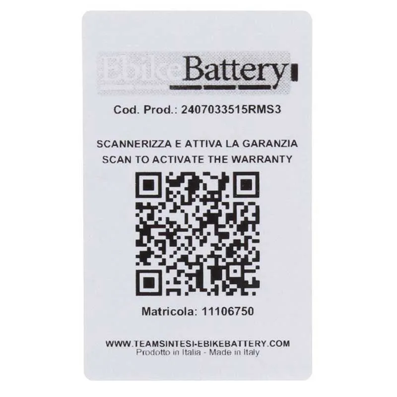 Ebike Battery Silverfish 24v 14ah Vertical Lithium Batteri, Black, One Size