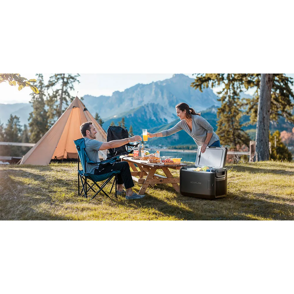 Ecoflow Glacier Classic Styv Bärbar Kylbox 45l, Grey, One Size, EU Plug 220V