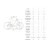 Econic One Cross-country 29´´ Elcykel Mtb