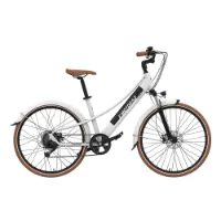 Emotorad Plymouth Elcykel Emotorad Plymouth Elcykel
