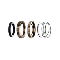 ENVE Ratchet Kit for Enve Hub ENVE Ratchet Kit for Enve Hub