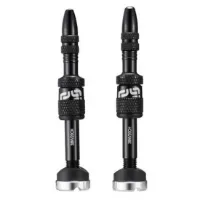 e*thirteen Quick Fill Bosch Tubeless Ventiler 2 Enheter e*thirteen Quick Fill Bosch Tubeless Ventiler 2 Enheter