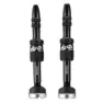 e*thirteen Quick Fill Bosch Tubeless Ventiler 2 Enheter