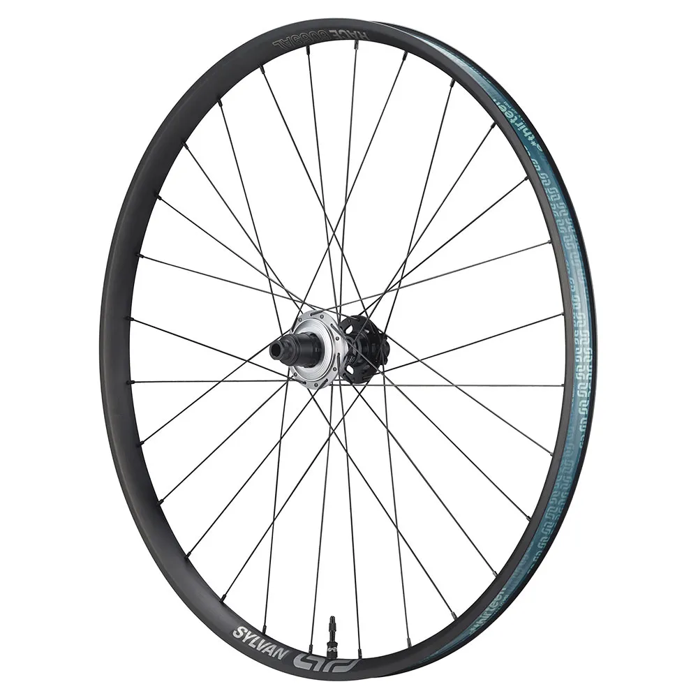 e*thirteen Sylvan Sidekick/race 29´´ Am Disc 6b Mtb Bakhjul, Black, 12 x 148mm, Sram XDR