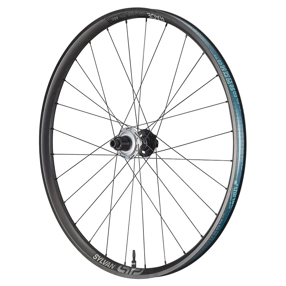 e*thirteen Sylvan Sidekick/race 29´´ Carbon Am Disc 6b Mtb Bakhjul, Black, 12 x 148mm, Sram XDR