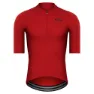 Carmine Red
