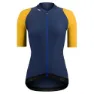 Petrol / Mustard