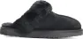 Exani Men's Obey