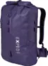 Aubergine 2