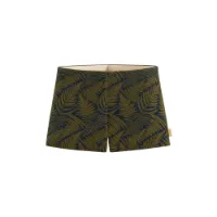 Fashy 24992 Simshorts male Fashy 24992 Simshorts male