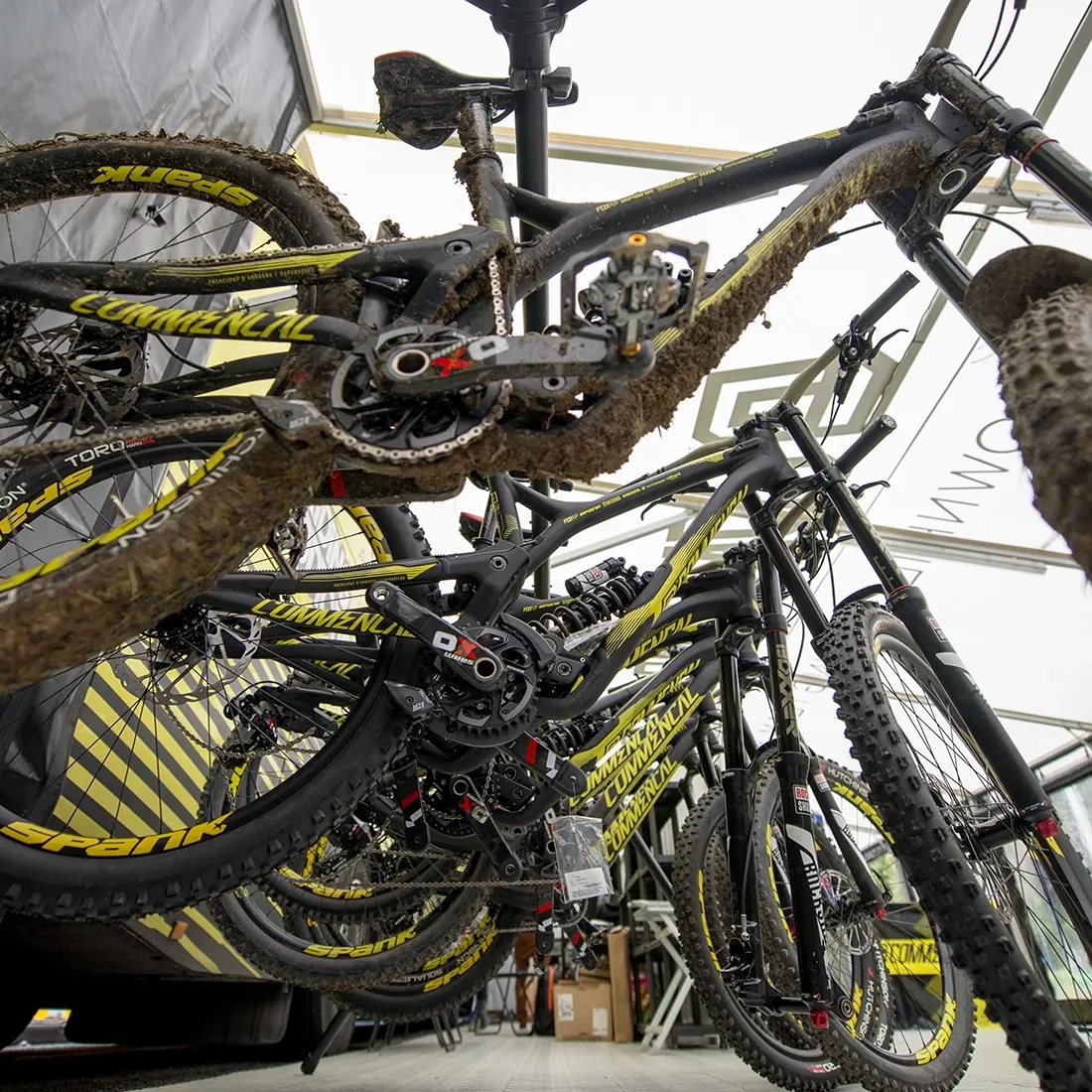 Feedback Sports Feedback A-Frame cykelholder
