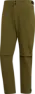 Focus olive