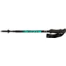 Fizan Compact 4 Stavar