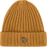 Acorn