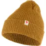 Acorn