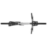 Focus Raven 8.8 29´´ 2023 Mtb Cykel