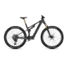 Carbon raw matt / glossy