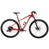 Formigli R1 Carbon 29´´ Mtb Cykel Formigli R1 Carbon 29´´ Mtb Cykel