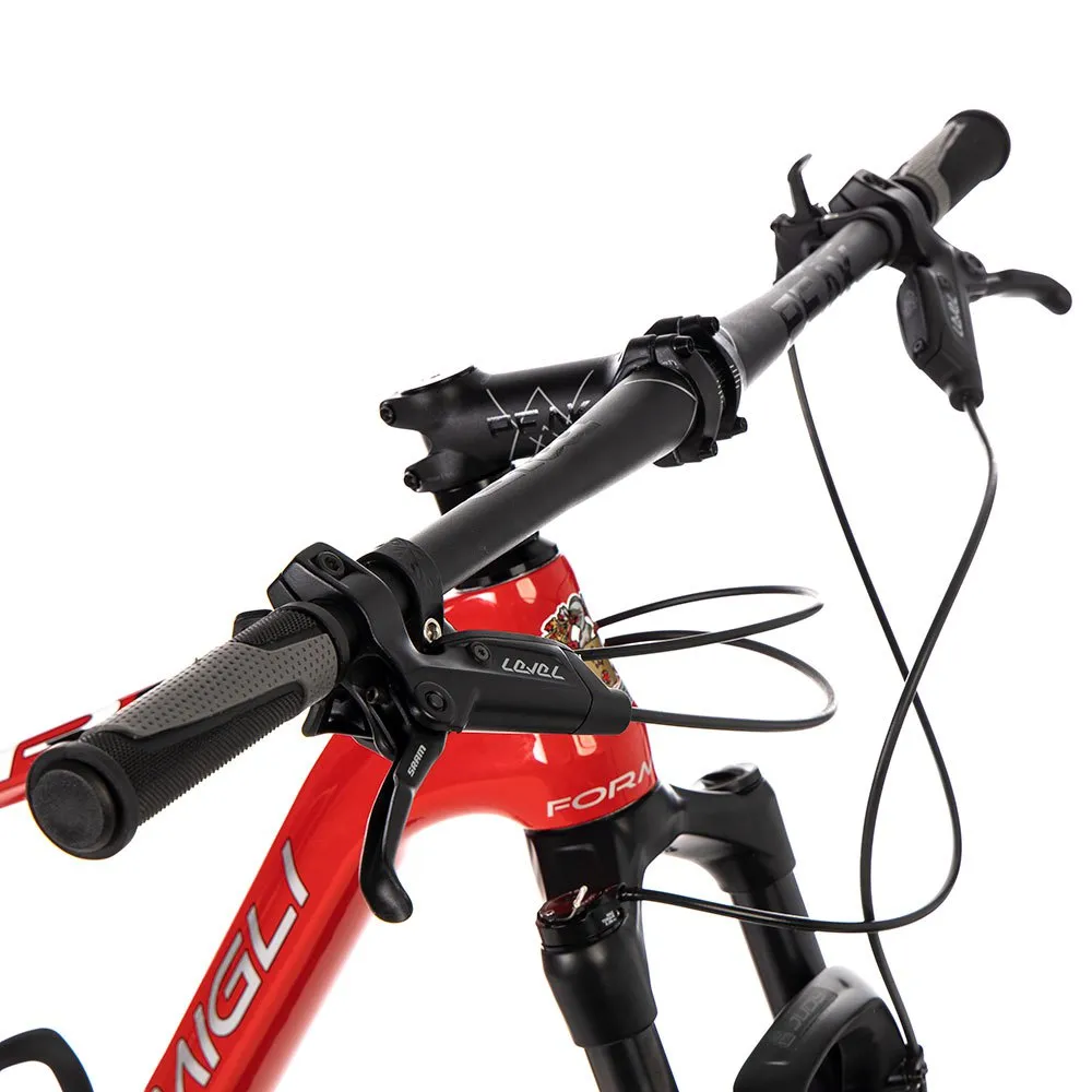 Formigli R1 Carbon 29´´ Mtb Cykel