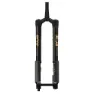 FOX 36 K Podium 29´´ F-s 170 Grip X2 Rk44 20x110 Mm 2026 Mtb-gaffel, Black / gold, 29", 170mm