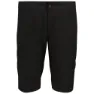 FOX Whistler Shorts