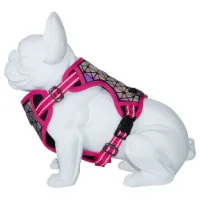 Freedog Boreal Hundsele