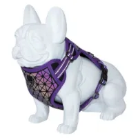 Freedog Boreal Hundsele Freedog Boreal Hundsele