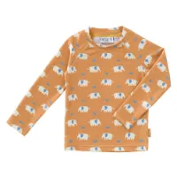 Fresk Elefanter Uv Långärmad T-shirt Pojkar,Flickor