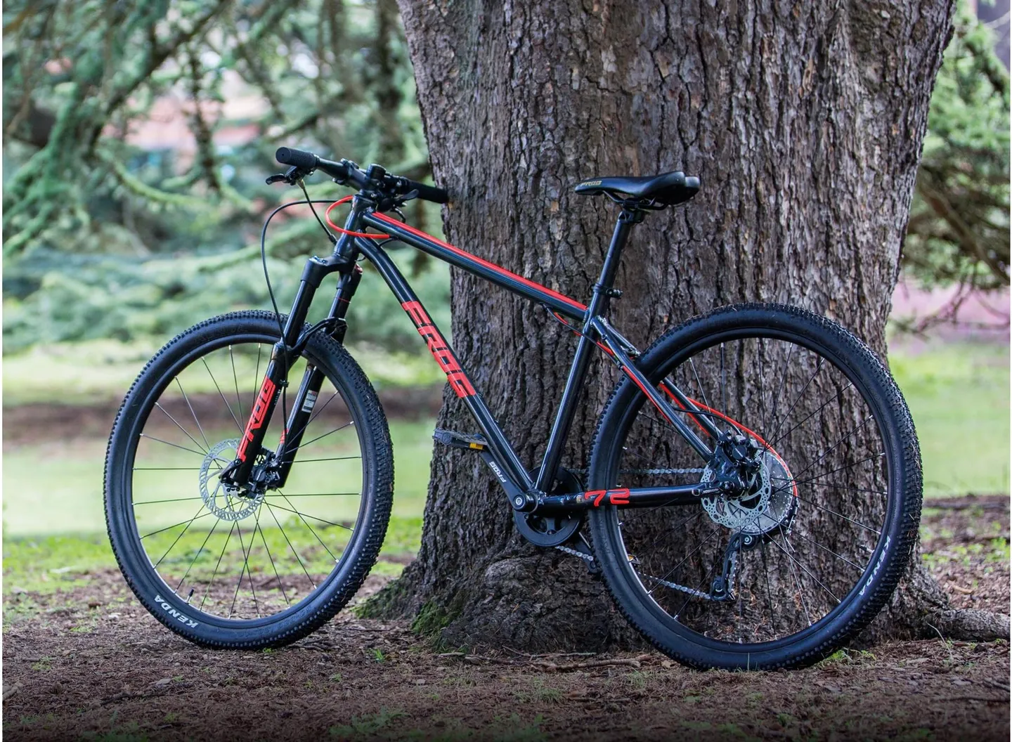 Frog Bikes MTB 62 - 24" Barnesykkel