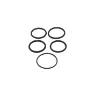 Frog Bikes O-ring kit