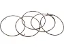 Fulcrum Sperrklinkenfedern 5-R1-015 für RR Freilaufkörper