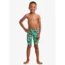 Funky Trunks Ft37t71541 Jammer male