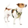 Fuzzyard Active Go Hundsele