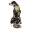 Fuzzyard Active Go Hundsele