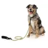 Fuzzyard Active Rope Hundkoppel