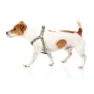 Fuzzyard Active Strap Hundsele
