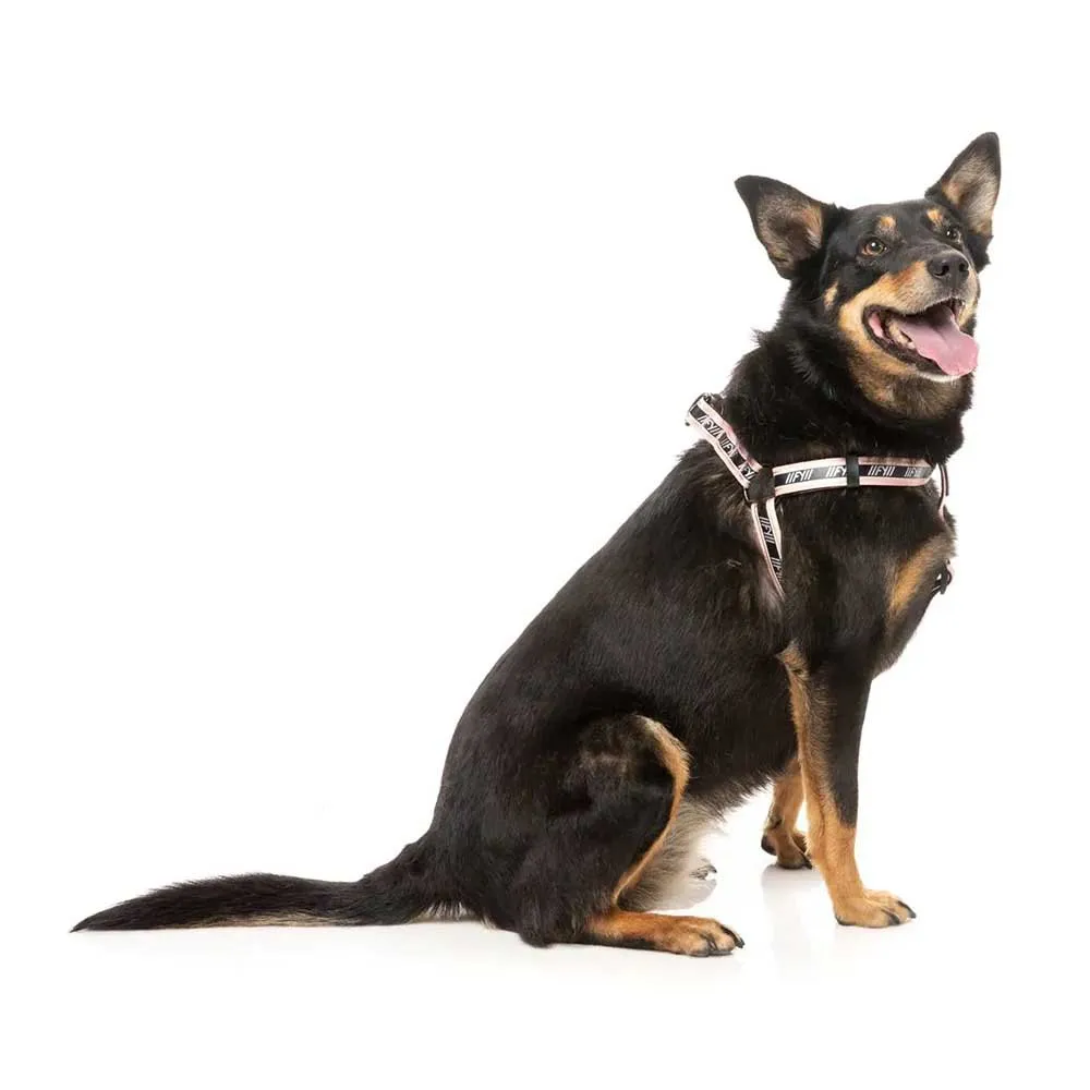 Fuzzyard Active Strap Hundsele Fuzzyard Active Strap Hundsele