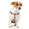 Fuzzyard Active Strap Hundsele