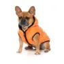 Fuzzyard Aeon Hundjacka