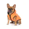 Fuzzyard Aeon Hundjacka